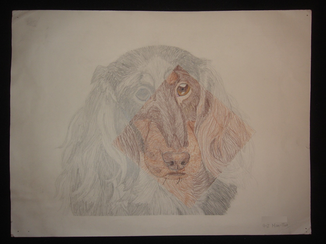 pencil and colored pencil on paper (circa 2006)